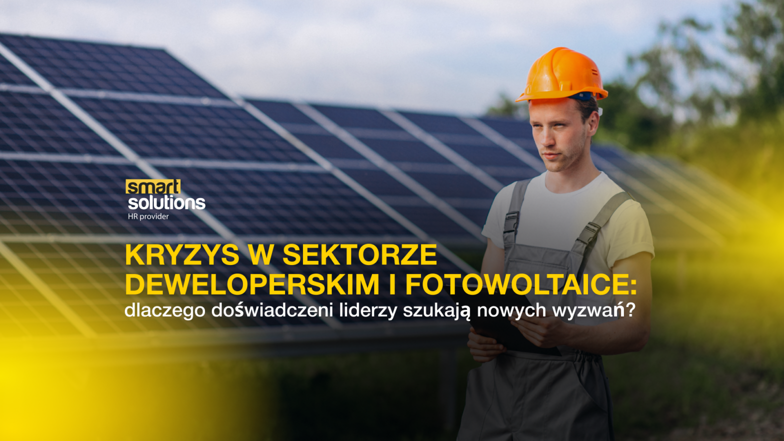 Kryzys w sektorze de